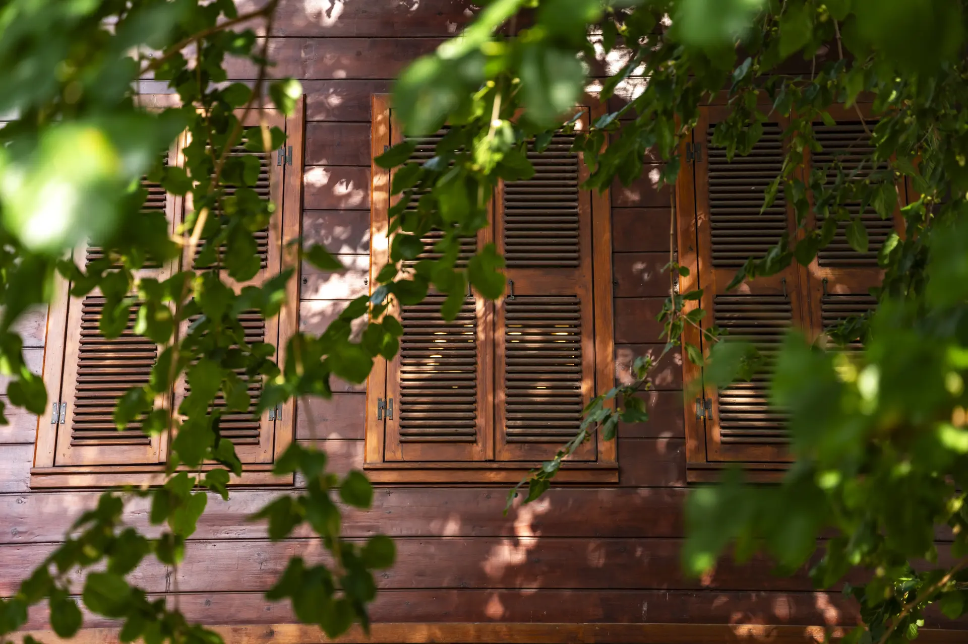 Afgan Tekkesi Restorasyonu - Görsel 4 - Yükseliş İnşaat