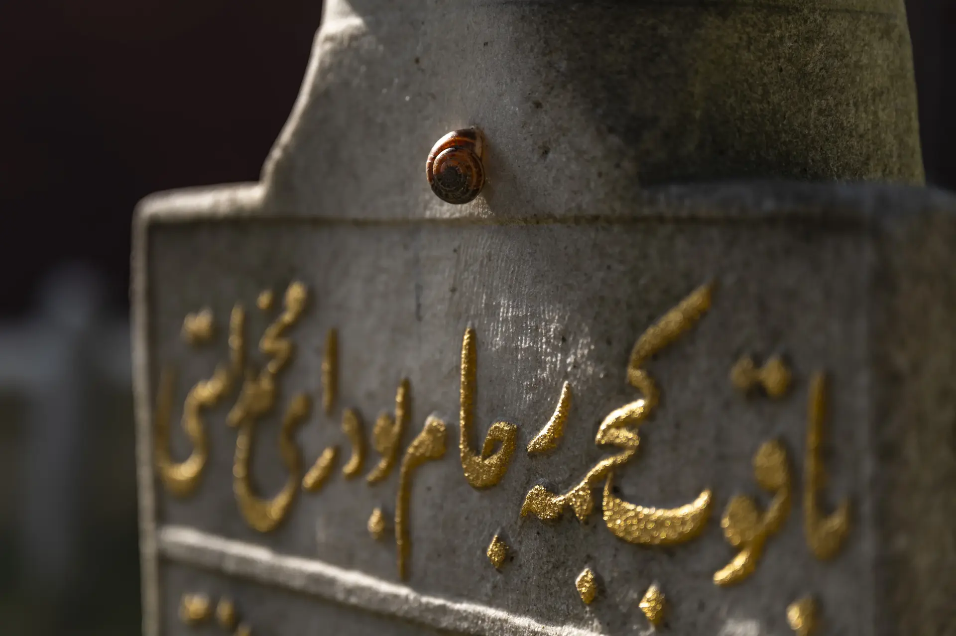 Afgan Tekkesi Restorasyonu - Görsel 8 - Yükseliş İnşaat