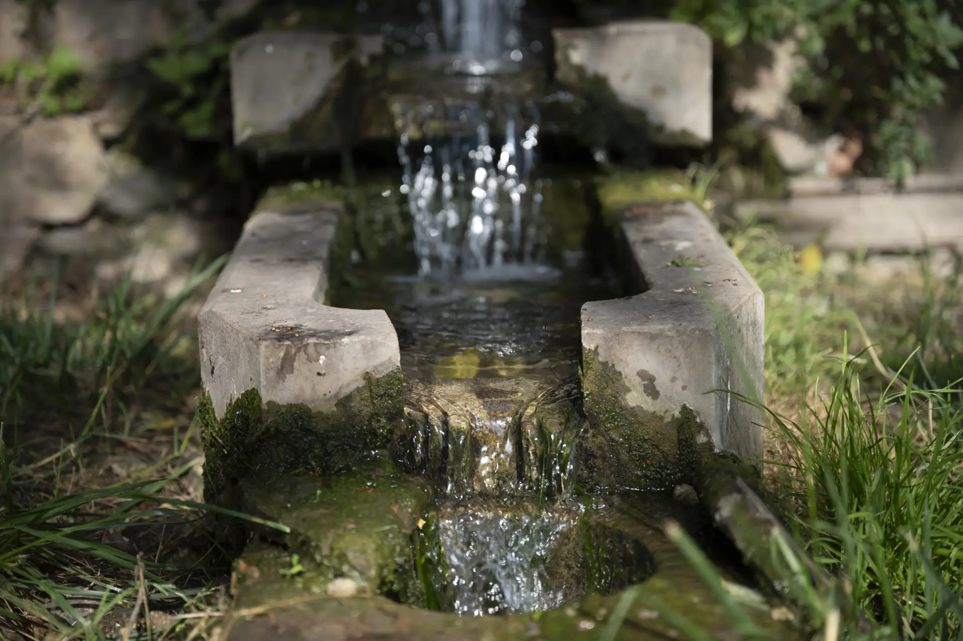 Afgan Tekkesi Restorasyonu - Görsel 9 - Yükseliş İnşaat