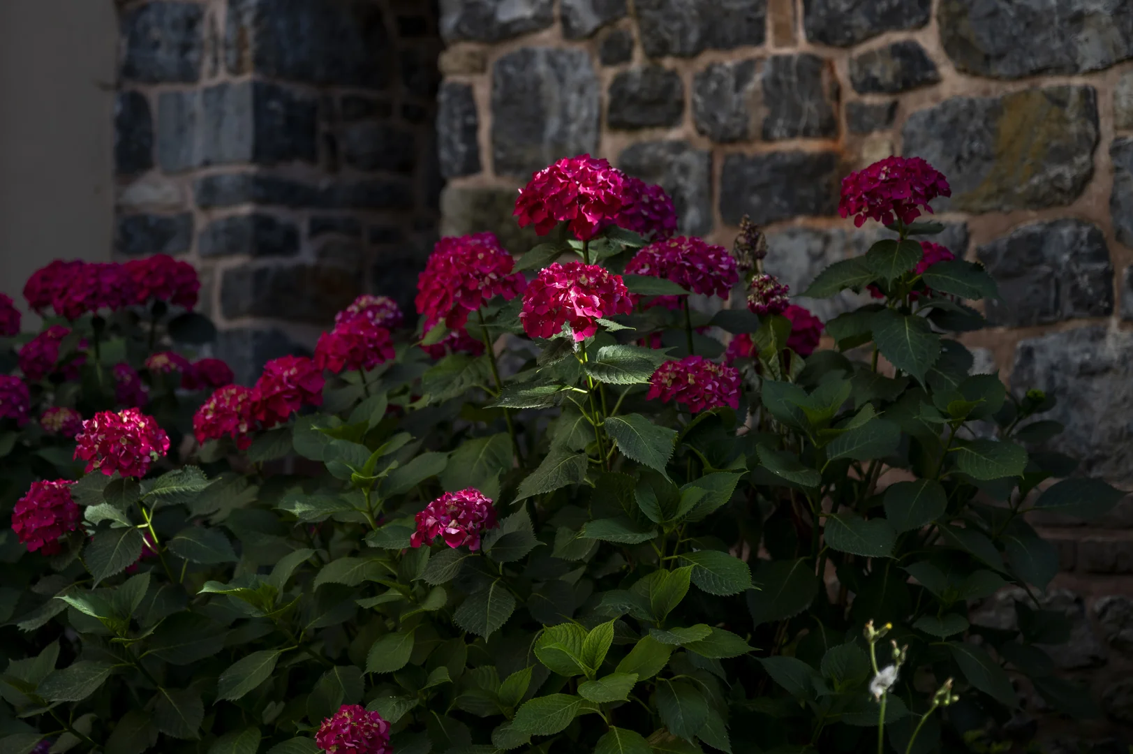Üsküdar Mevlevihanesi - Görsel 6 - Yükseliş İnşaat